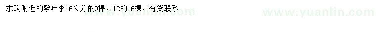 求購(gòu)12、16公分紫葉李