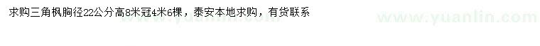 求購胸徑22公分三角楓