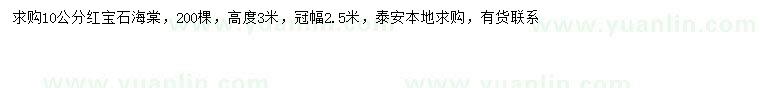 求購10公分紅寶石海棠