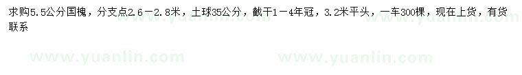 求購(gòu)5.5公分國(guó)槐