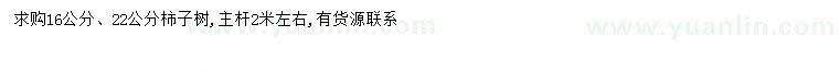 求購16、22公分柿子樹