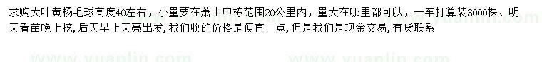 求購高40公分左右大葉黃楊毛球