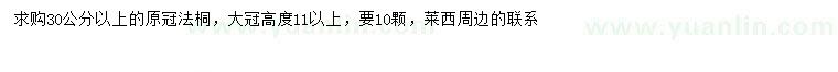 求購(gòu)30公分以上法桐