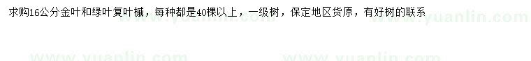 求購16公分金葉復(fù)葉槭、綠葉復(fù)葉槭