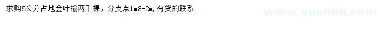 求購5公分金葉榆