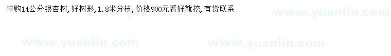 求購14公分銀杏