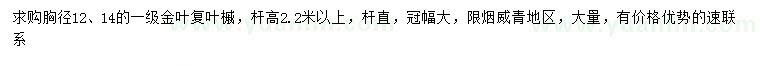 求購胸徑12、14公分金葉復葉槭