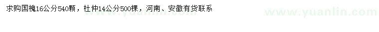 求購16公分國槐、14公分杜仲