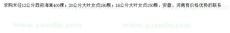 求購米徑12公分西府海棠、16、20公分大葉女貞