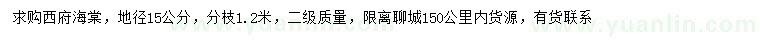 求購地徑15公分西府海棠