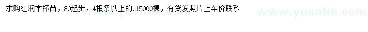 求購80公分以上紅潤木