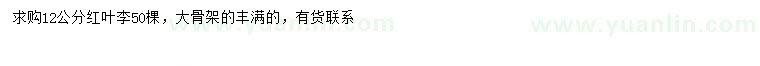 求購12公分紅葉李