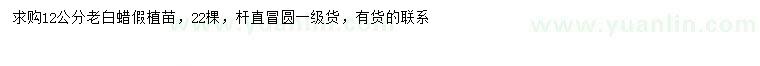 求購(gòu)12公分老白蠟