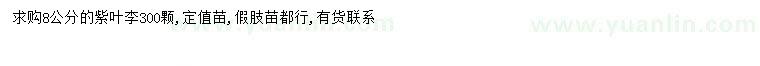 求購8公分紫葉李