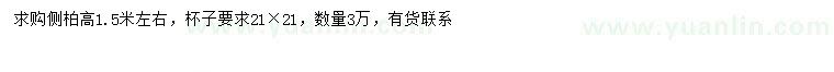 求購高1.5米左右側(cè)柏