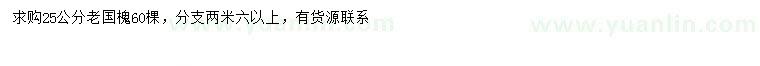 求購25公分國槐