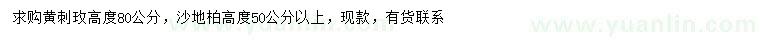 求購(gòu)高80公分黃刺玫、50公分以上沙地柏