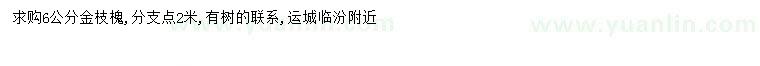 求購6公分金枝槐