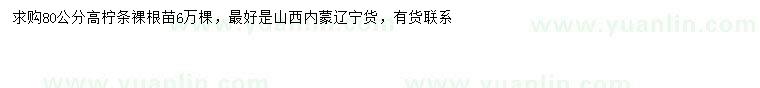 求購高80公分檸條