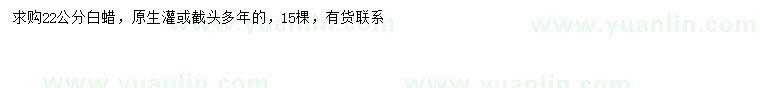 求購22公分白蠟