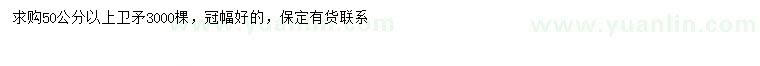 求購50公分以上衛(wèi)矛