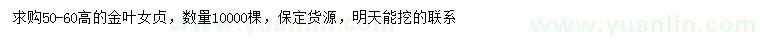 求購(gòu)高50-60公分金葉女貞