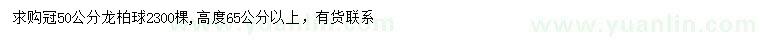 求購冠幅50公分龍柏球