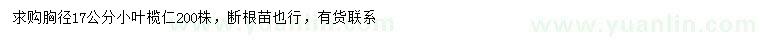 求購胸徑17公分小葉欖仁