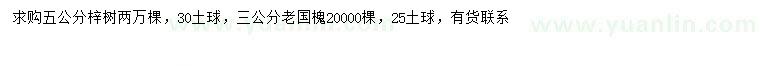 求購(gòu)5公分梓樹、3公分國(guó)槐