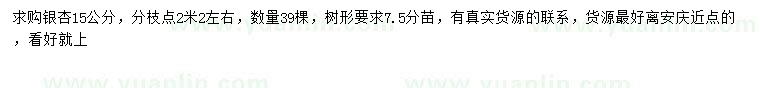 求購15公分銀杏