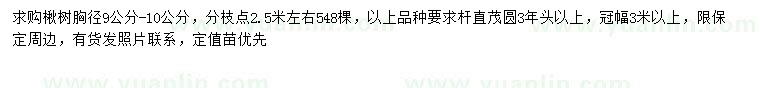 求購胸徑9-10公分楸樹(shù)