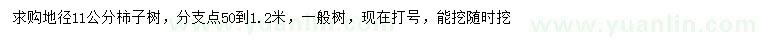 求購(gòu)地徑11公分柿子樹(shù)