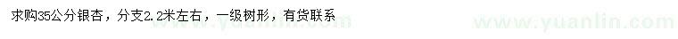求購(gòu)35公分銀杏