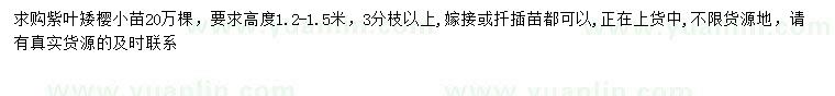 求購高1.2-1.5米紫葉矮櫻小苗