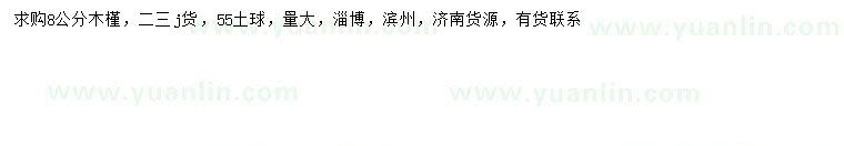 求購8公分木槿