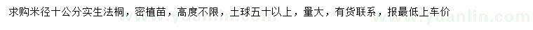求購米徑10公分法桐