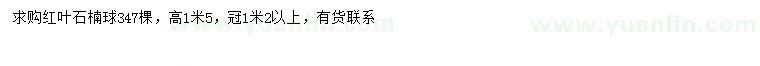 求購冠幅1.2米以上紅葉石楠球