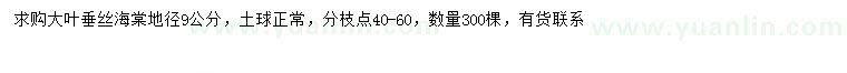 求購(gòu)地徑9公分垂絲海棠