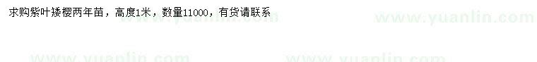 求購(gòu)高1米紫葉矮櫻
