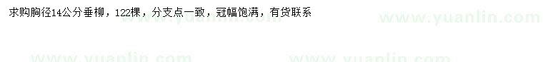 求購胸徑14公分垂柳