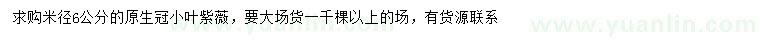 求購米徑6公分小葉紫薇