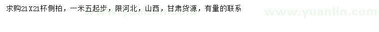 求購1.5米以上側(cè)柏