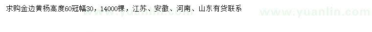 求購高60公分金邊黃楊