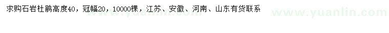 求購(gòu)高40公分石巖杜鵑