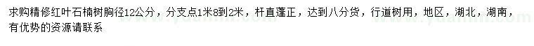 求購胸徑12公分紅葉石楠