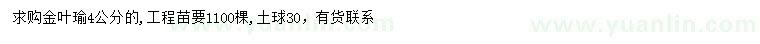 求購4公分金葉瑜