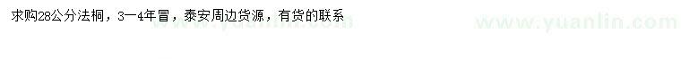 求購28公分法桐