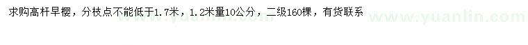 求購1.2米量10公分高桿早櫻