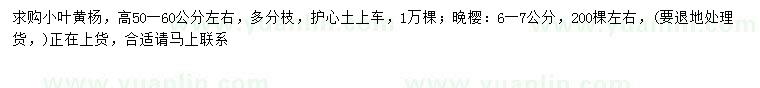 求購高50-60公分小葉黃楊、6-7公分晚櫻