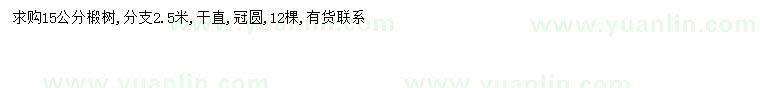求購15公分椴樹